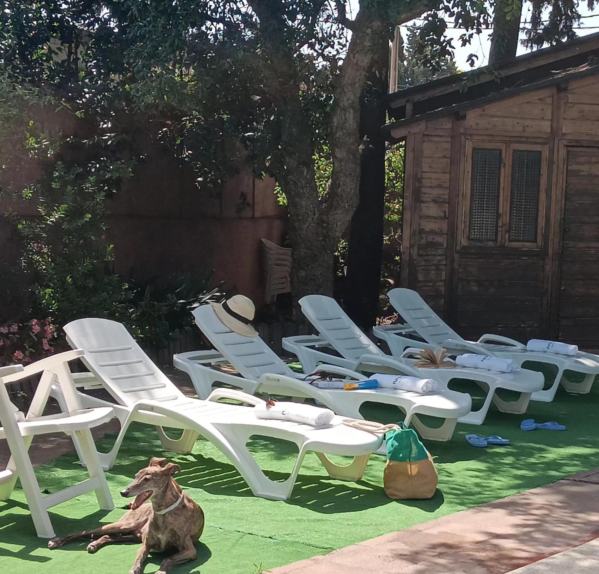 Villa Casa La Maestra à La Muela  Extérieur photo